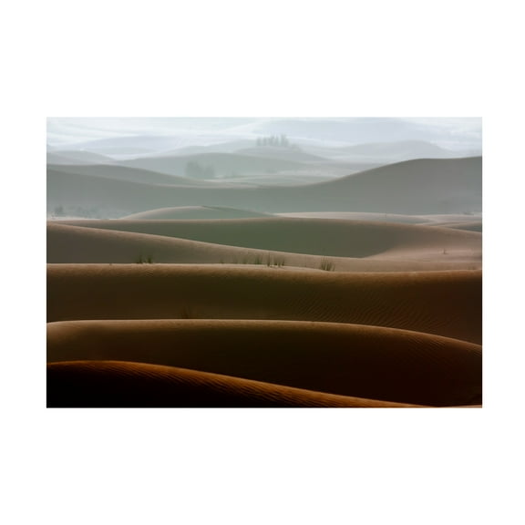Canvas Wall Art - Naufal 'Foggy Morning' Wall Art for Living Room, Bedroom, or Office D?cor by Trademark Fine Art - 19 x 12 Inches