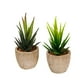 thumbnail image 1 of 2 piezas de plantas suculentas artificiales, decoración paisajística para el hogar, la oficina y el balcón (verde, verde claro)., 1 of 6
