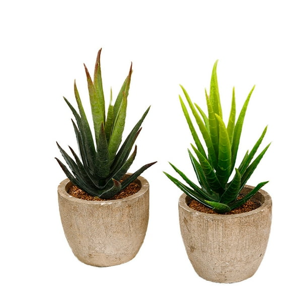 2 piezas de plantas suculentas artificiales, decoración paisajística para el hogar, la oficina y el balcón (verde, verde claro).