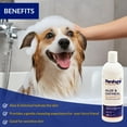 thumbnail image 2 of Pershyra - Soothing Aloe and Oatmeal Shampoo for Dogs & Cats With Itchy Skin - 16oz, 2 of 7