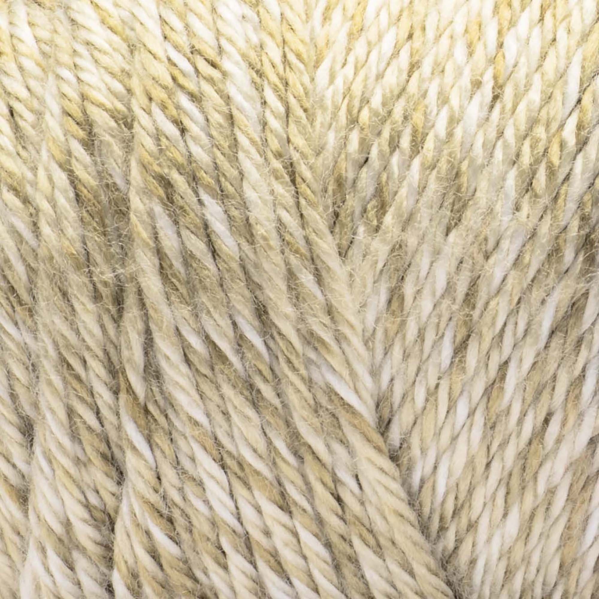 Caron® Simply Soft Sunkissed™ #4 Worsted (Medium) Acrylic Yarn, Coconut Tonal 5oz/141g 248 Yards (3 Pack)
