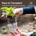 thumbnail image 3 of Clear Nursery Pots for Easy Monitoring & Transplanting - Sturdy & Reusable!, 3 of 8