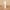 Hickory - 1 Pack, variant on ArtToFrames 10" x 20" Hard Maple Picture Frame, 10x20 inch Brown Wood Poster Frame (WOM-4847)