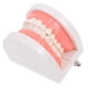 thumbnail image 4 of Modelo tipodonto dental para niños, herramienta de enseñanza oral para jardín de infantes, modelo de cepillado de caries, modelo de diente de plástico para uso educativo, 4 of 6