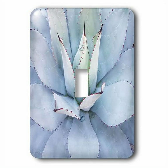 3dRose, Image of Beautiful Mexican Blue Cactus, single toggle switch