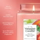thumbnail image 3 of Candle Yankee Candle Bellini, fresa blanca, 624 ml, tamaño grande, 3 of 8