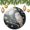 pattern-1453, variant on Owl Painting Christmas Ornaments Funny Animal Funny Christmas Ornaments Hanging Ornaments for Christmas Tree Decoration Xmas Day Home Party Decorations