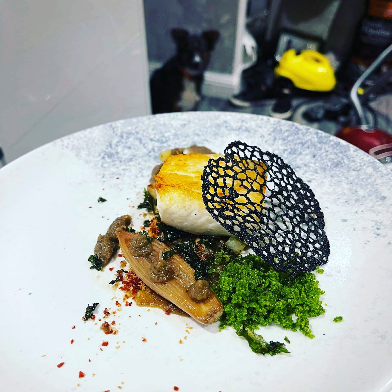 Squid Ink - 1.1 lbs (500 grams) of Culinary Use Ink from Cuttlefish