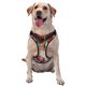thumbnail image 1 of Fotbe Colorful Dachshund Art Arnés para Perro con Estampado –Chaleco Ajustable Acolchado con Asa de Control para Perros Grandes-Large, 1 of 6