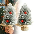 thumbnail image 2 of KER 2025 12.6 Inch Frosted With Red Berries Mini In For Tabletop Holiday, 2 of 6