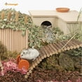 thumbnail image 3 of Laklulu Wooden Ladder Bridge, Hamster Mouse Rat Rodents Toy, Small Animal Chew Toy, 3 of 4