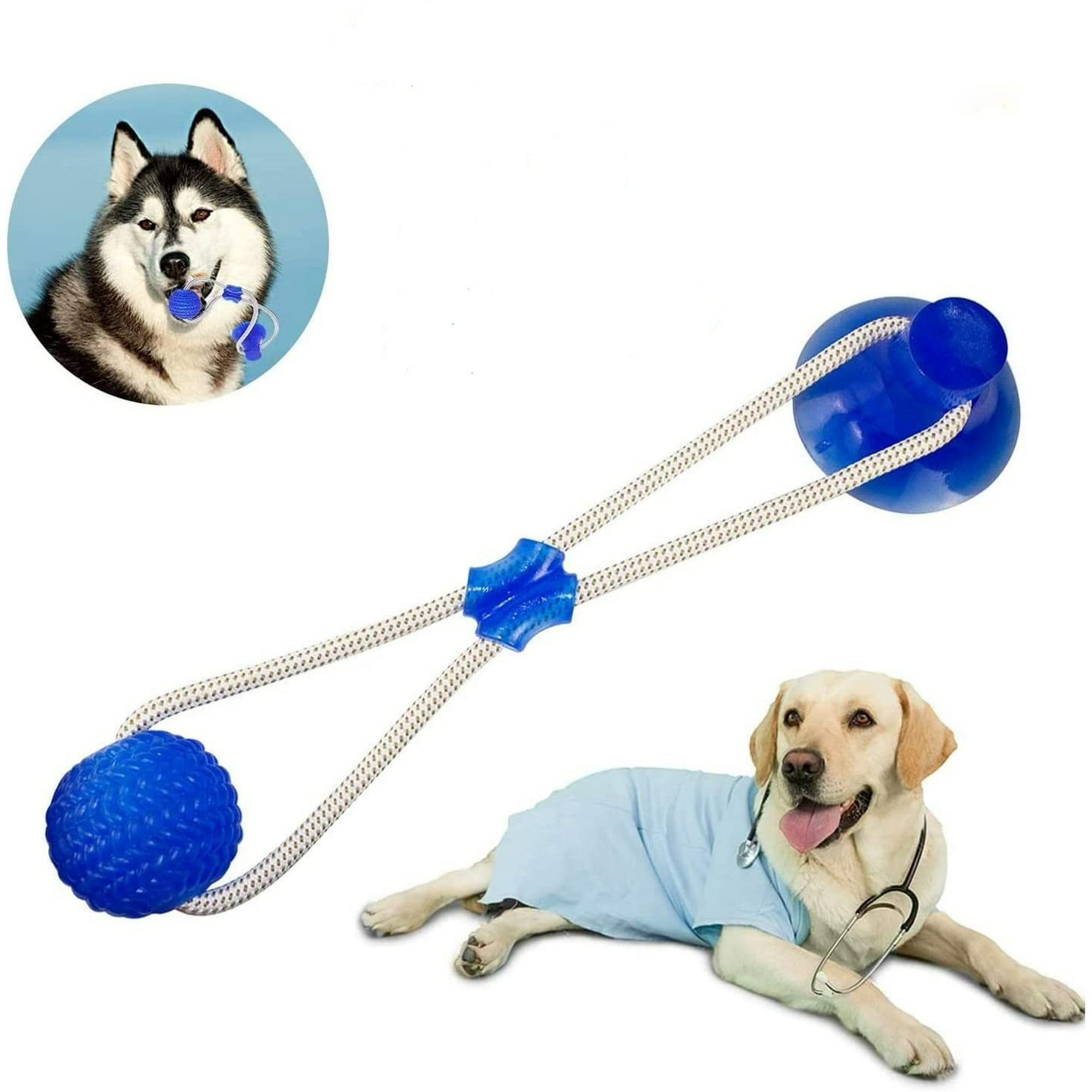 Interactive Treat Ball-Suction Cup Dog Chew Toy – Tier1goods