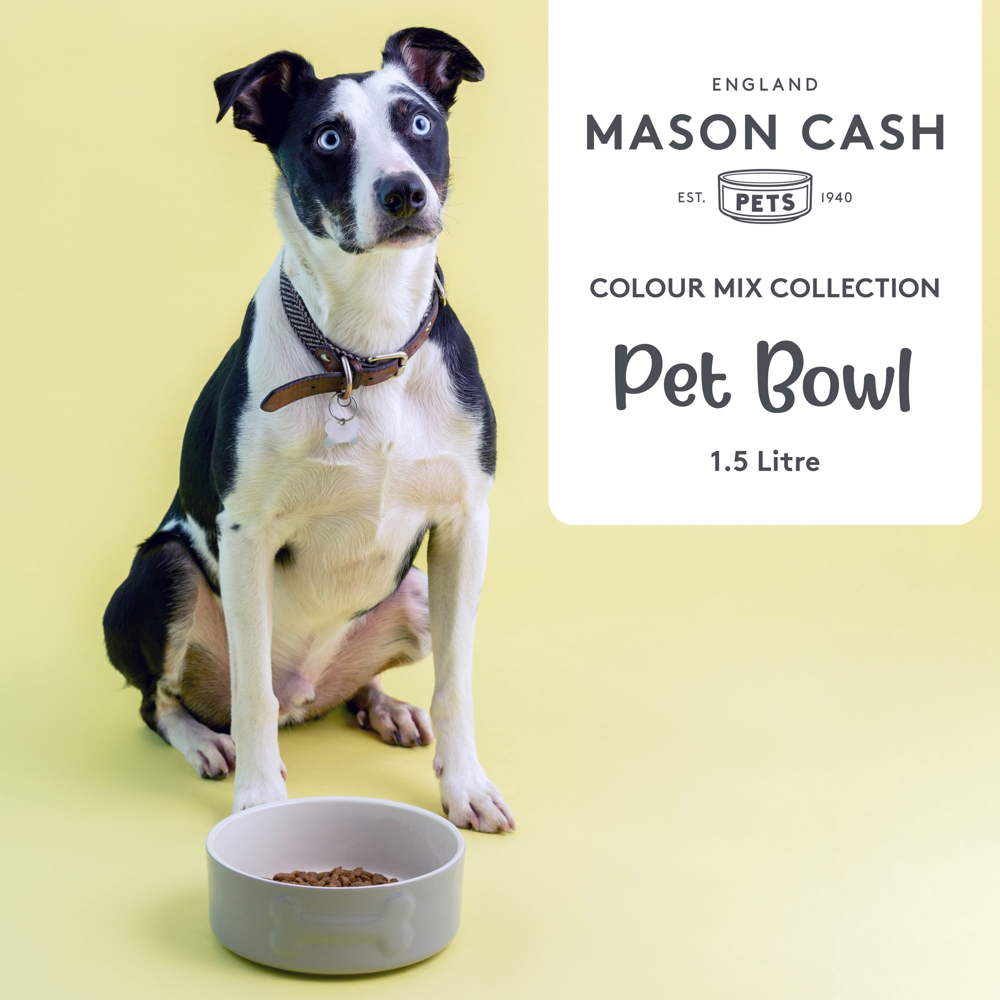 Mason Cash: Embossed Bone Dog Bowl - Gray - 8", 50.7oz - Durable Ceramic Food & Water Dish, Microwave & Dishwasher Safe, Pet Meal Feeding & Hydration