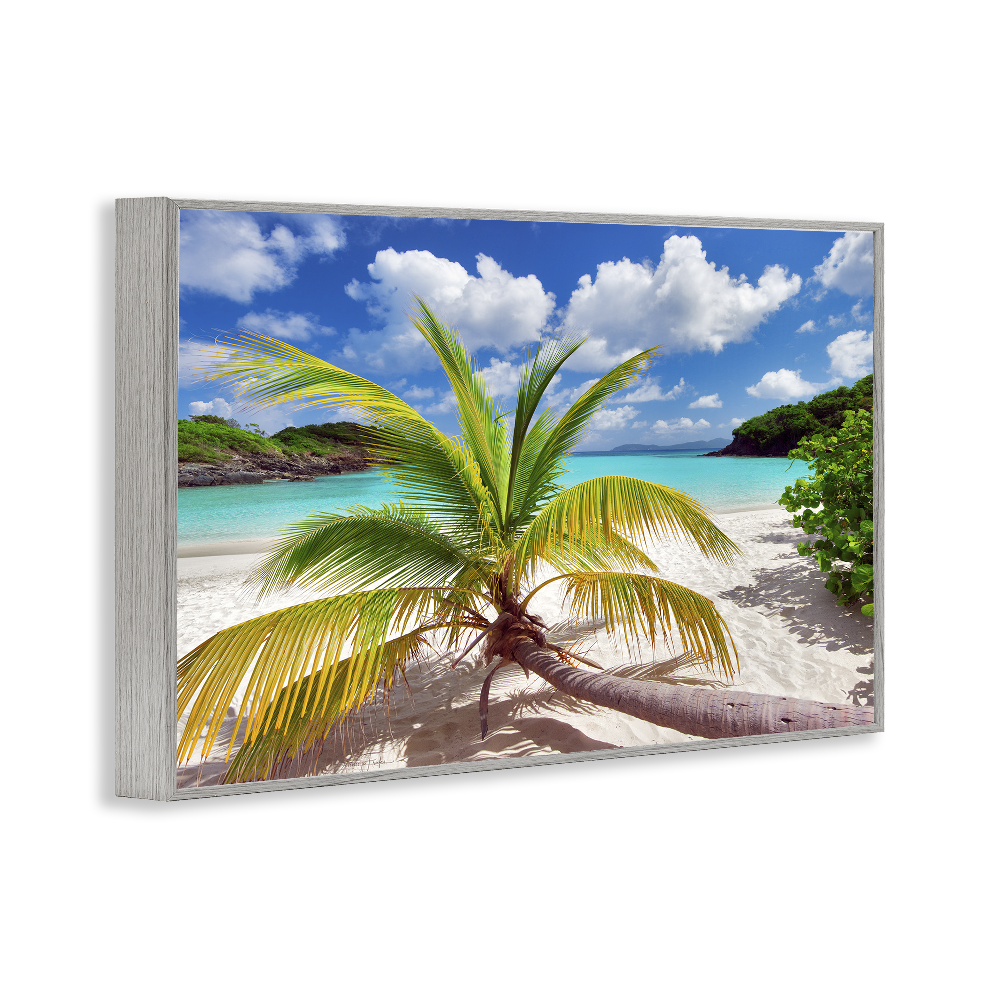 Stupell Industries Palm Tree Across Beach Coastal Photography Gray Framed Art Print Wall Art, 24 x 16