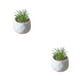 thumbnail image 3 of Bearachild Mini plantas suculentas artificiales, simulación de bonsái, flor falsa con maceta, manualidades en maceta, sala de estar, fiesta en tipo5 2piezas, 3 of 6