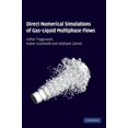 thumbnail image 1 of Simulations Numériques Directes de Flux de Gaz Liquide Multiphasé, 1 of 6