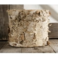 thumbnail image 2 of Birch Bark Planter W/ Plastic Liner 7X6 7in. Wide & 6in. Tall, 2 of 3