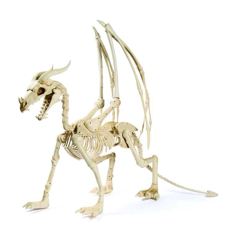 Halloween Dragon Skeleton - Home Decor - 1 Piece - Walmart.com