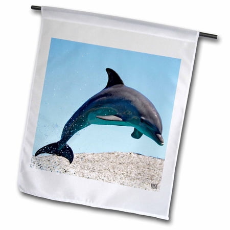 3dRose Bottlenose dolphin - Garden Flag  12 by 18-inch