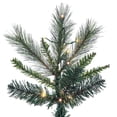 thumbnail image 2 of Vickerman 12' x 73" Brighton Pine Artificial Christmas Tree, LED Color Changing Lights, 2 of 8