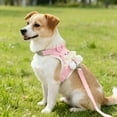 thumbnail image 4 of Dog Traction Rope Vest Style Teddy Bichon Small Dog Chest Harness cat Rabbit Walking Rope Chain pet Supplies Outdoor Use Adjustable Vest Style With Pendant Cat Walking Strap (Pink,S), 4 of 4