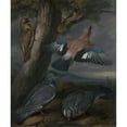 thumbnail image 3 of Francis Barlow 12x14 Black Modern Framed Museum Art Print Titled - Jay, Green Woodpecker, Pigeons, and Redstart Landscape with a Green Woodpecker, a Jay, Two Pigeons, a Redstart, a Lizard an, 3 of 5