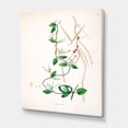 thumbnail image 3 of Designart ' Ancient London Plants IV ' Farmhouse Canvas Wall Art Print, 3 of 4