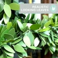 thumbnail image 6 of Fraser Hill Farm 24-inch Boxwood Bunny Wreath, 6 of 19