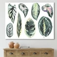 thumbnail image 2 of Designart ' Tropical Calathea Leaves On White ' Bohemian & Eclectic Canvas Wall Art Print, 2 of 4