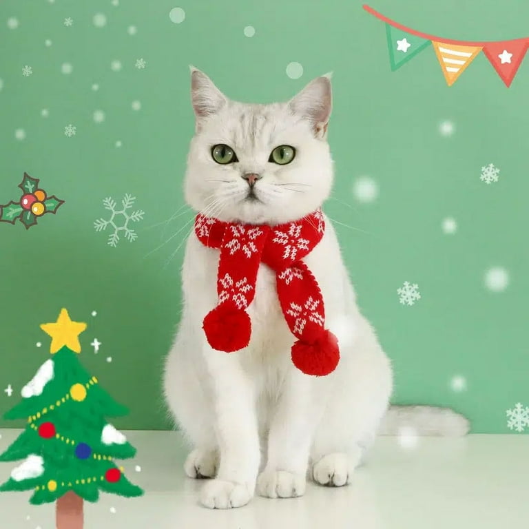 Cat christmas outlet bandana