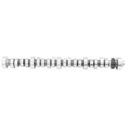 Ford Performance Parts M-6250-E303 Hydraulic Roller Camshaft