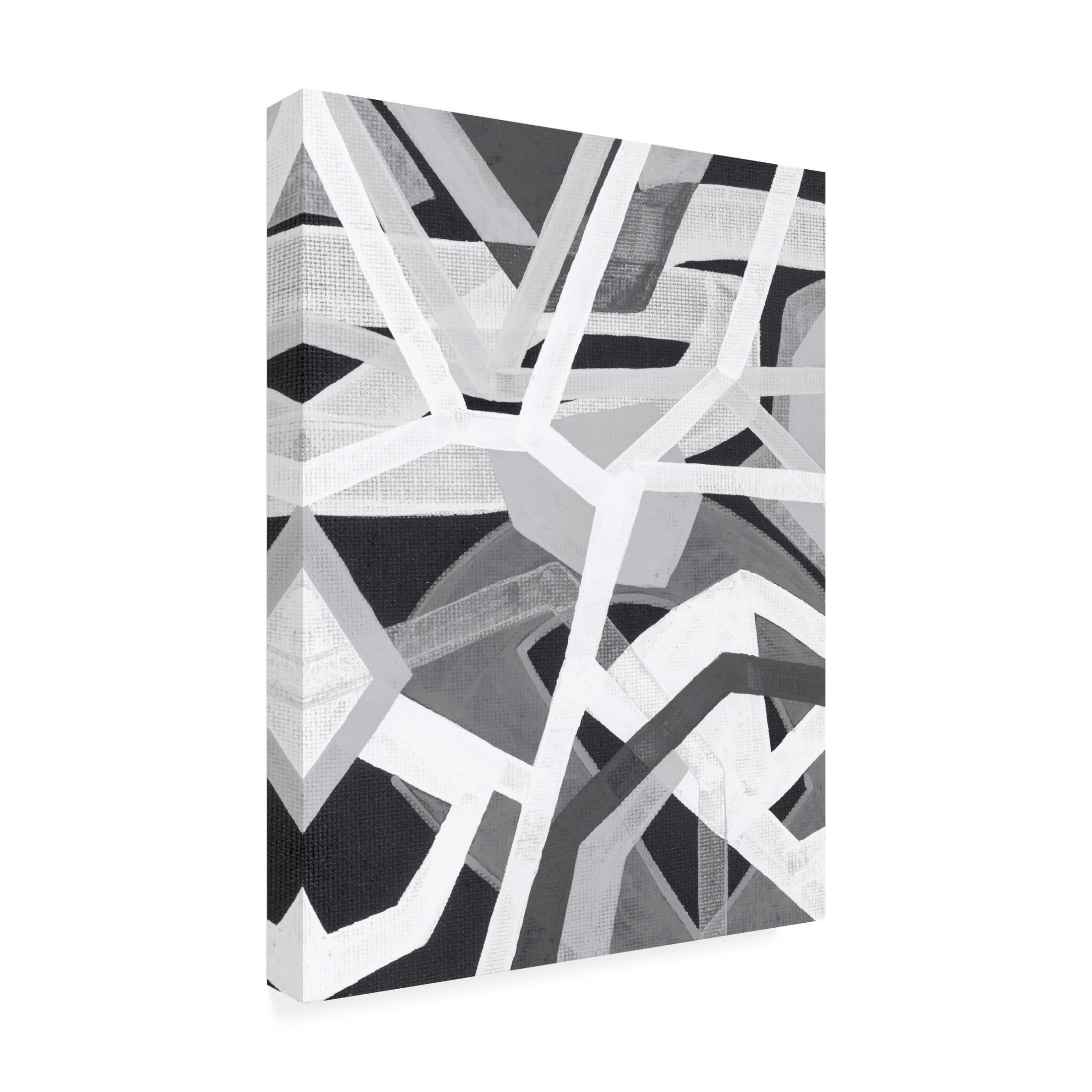 Trademark Fine Art Nikki Galapon Magnetic Greys II Canvas Wall Art