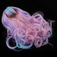 thumbnail image 1 of Muñeca de moda Peluca rizada para de salón Accesorios de bricolaje para el cabello Rosa Macarena Muñeca rizada de 16 pulgadas Muñeca, 1 of 6