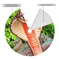 thumbnail image 2 of Sikiie Cobra Snake 30-48 inches {designName} Print Christmas Tree Skirt Snowman Xmas Tree Skirt with Edge Christmas Decorations for Holiday Party-36", 2 of 7