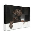 thumbnail image 3 of Stupell Industries Labrador Dog Overlooking Farm Leaning Barn Door Photograph Gallery Wrapped Canvas Print Wall Art, Design by James Dobson, 3 of 5