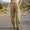 Khaki, variant on XPMWRP Women High Waist Washed Multi Cargo Pocket Harem Jogger Jeans Loose Tapered Ankle Cuffed Casual Vintage Denim Pants Outdoor Walking Streetwear Fashion Trousers Brown XL