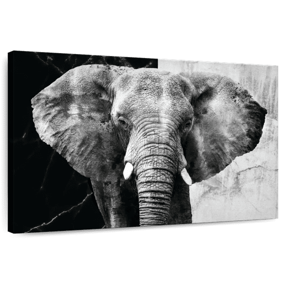 Elephant Stock Elephant Black And White Wall Art - Horizontal Canvas Wall Art - Living Room Wall Decor - Animal Canvas - Black And Gray Decor - 12" x 8"