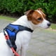thumbnail image 5 of Pechera Arnés para Perro Mr. Pets, Reflectante Ajustable azul Chico, 5 of 10