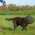 thumbnail image 4 of Pet Hat Dog Face | Lightweight Breathable Mesh Net for Dogs Against Injuries and Punctures with Adjustable Mouthpiece, 4 of 4