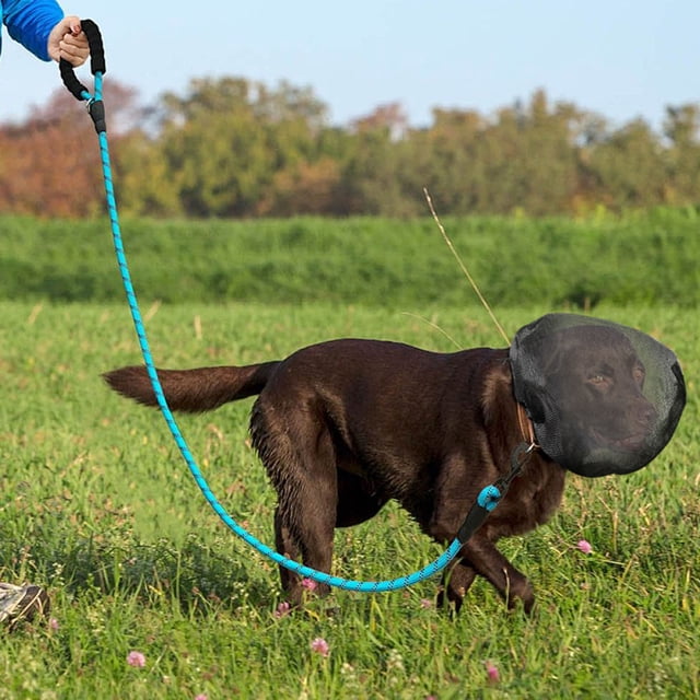 Dog Face | A Breathable Mesh Dog Face Net That The Dog's Head From Punctures And Injuries With A Lightweight And Adjustable Breathable Mouthpiece