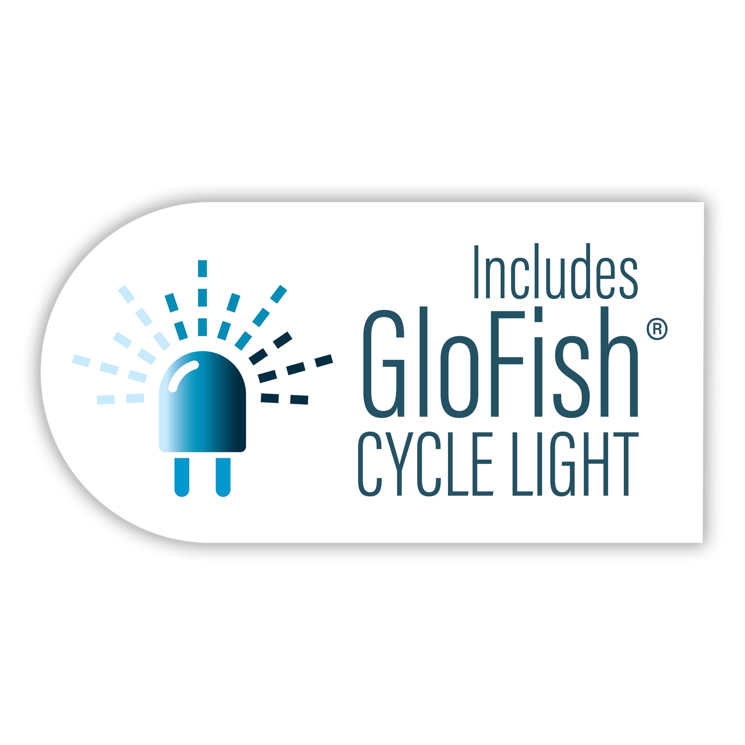GloFish 5 Gallon Aquarium Starter Kit with LED Lighting photo 6