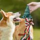 thumbnail image 2 of Artículos Navideños Para Mascotas Juguetes Para Perros Juguetes Para Limpiar Los Dientes Y Rechinar Los Dientes Juguetes De Cuerda De Algodón Con Nudos Juguetes Masticables Con Dibujos Animados, 2 of 2