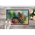thumbnail image 2 of Carolines Treasures DAC1665JMAT 24 x 36 in. Unisex Maine White Pine Cone & Tassels in Watercolor Indoor or Outdoor Mat, 2 of 5