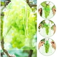 thumbnail image 5 of RV (Verde) Bolsas protectoras de uvas de 100 x 10*12 cm, bolsas protectoras de uvas, bolsas protectoras de plantas, bolsas de organza con cuerdas para frutas, 5 of 5