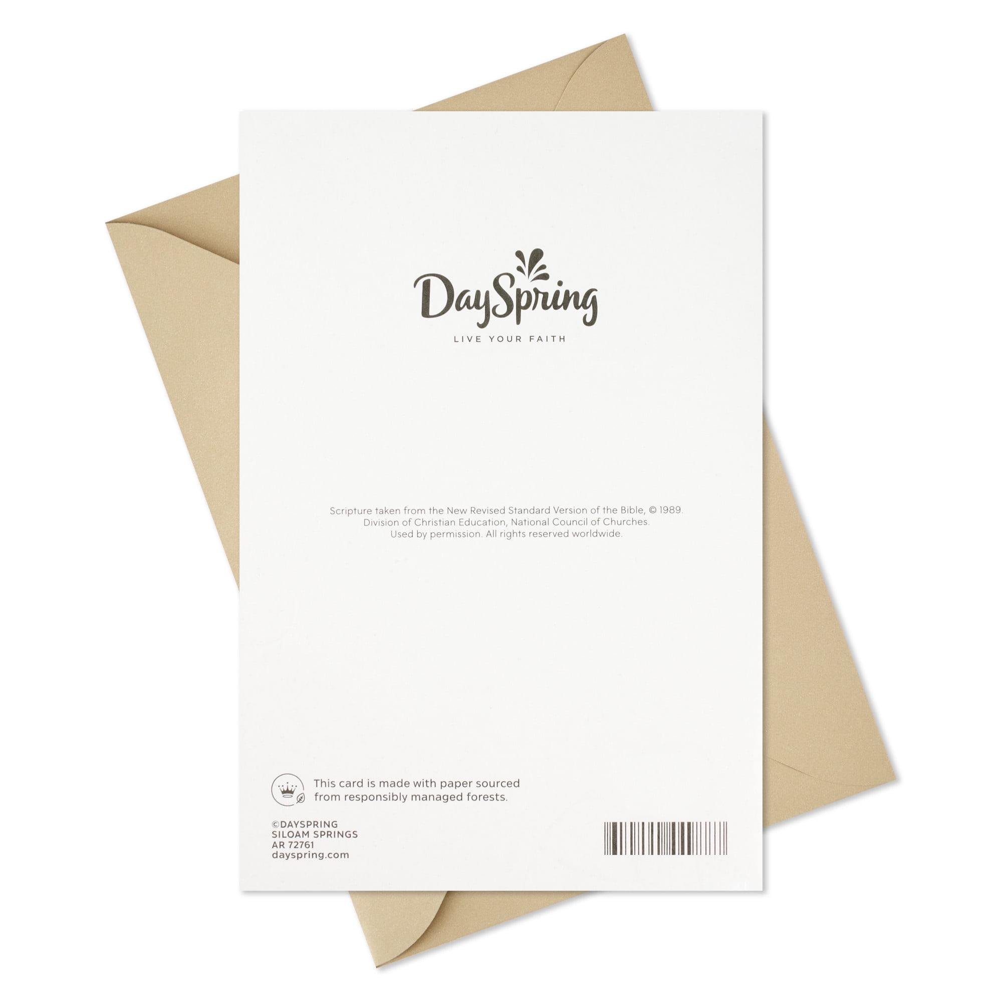 DaySpring Religious Birthday Card for Pastor (Birthday Blessings)