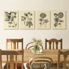 My Texas House Vintage Besler 12” x 16” Canvas Art Prints (Set of 4)