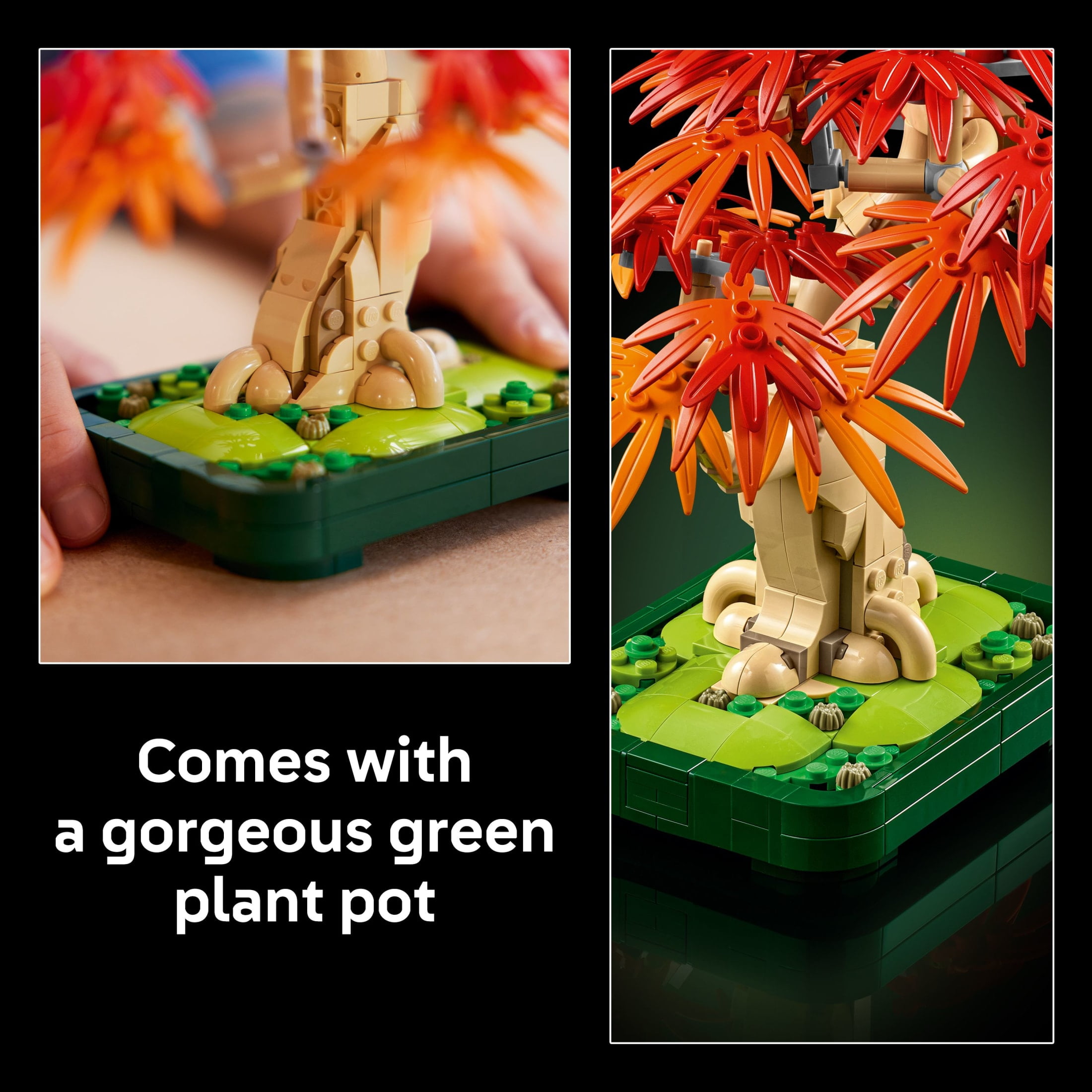 LEGO Botanicals Japanese Red Maple Bonsai Tree Building Kit for Adults 18+ - Unique Home Decor DIY for Room or Office - Gift for Birthdays - Plant Decor for Desk or Bookshelf- 10348