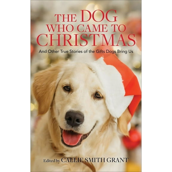 The Dog Who Came to Christmas: And Other True Stories of the Gifts Dogs Bring Us, (Paperback)