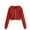 Red, variant on Ltctricy Girls' Zip up Hoodies Fall Winter Long Sleeve Cropped Hooded Sweatshirts Children Crop Jackets with Pockets(Navy,13-14 Years)