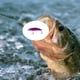 thumbnail image 2 of NO.8 Señuelo de Pesca con Cebo Duro Colorido Que Se Hunde 6,8 Cm/4 G con Acción de Vibración y Hundimiento para Cebo de Pesca, 2 of 5